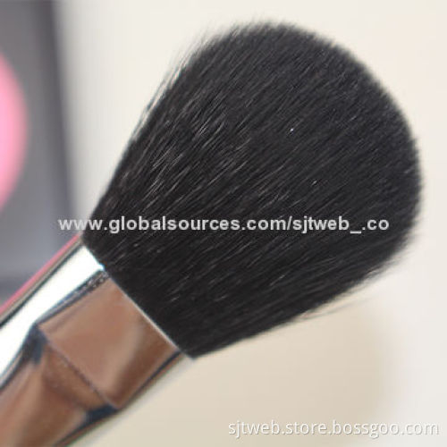 Beauty Brush Set with Long Handle, Sized 20*3.5cm